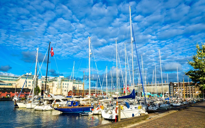 Check out the March First Friday Letter! 
issuu.com/wmcouncil/docs…