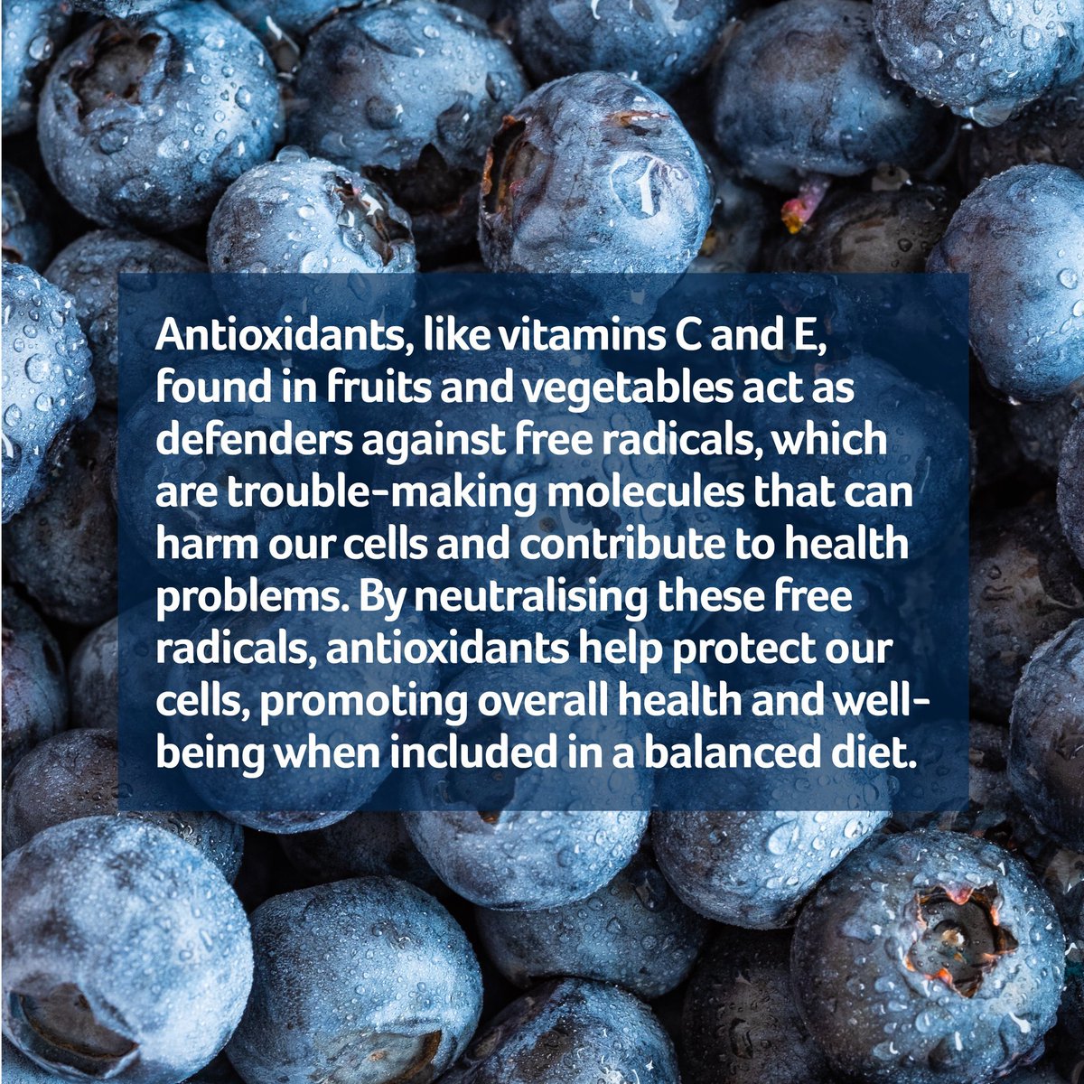 Continuing our #EatTheRainbow blue and purple themed month, here is a juicy fact about blueberries that might surprise you. See if you can include these vibrant berries in your meals!🫐 #AccentCatering #Antioxidants #HealthyEating #EatTheRainbow #NutritionFacts #Superfoods