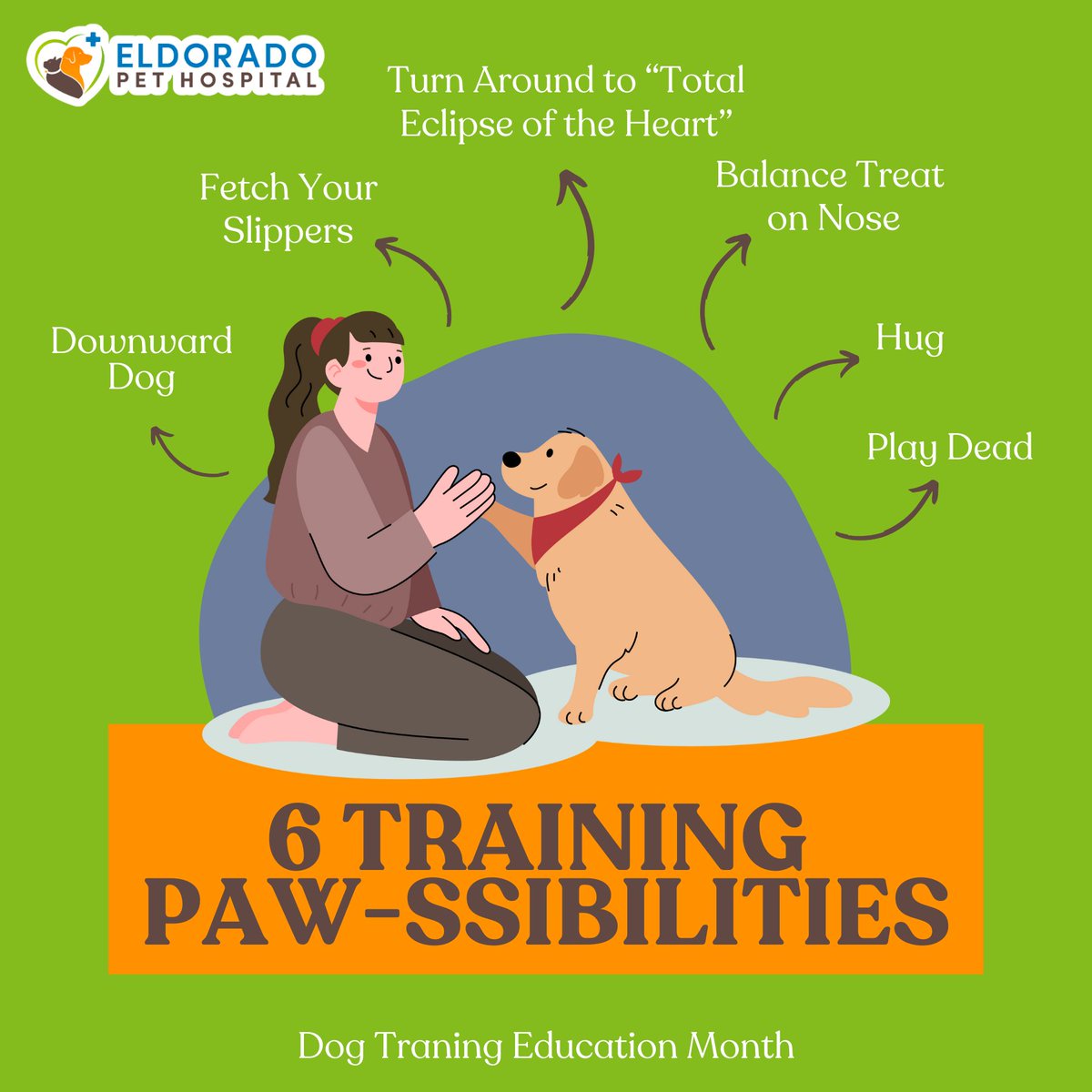 eldoradopet's tweet image. Unleash the fun! It&apos;s Dog Training Education Month! 🎉 

Who said training has to be all serious business? Here are 6 silly tricks to teach your furry friend, proving that learning can be fun! 🐶💕

#DogTrainingFun