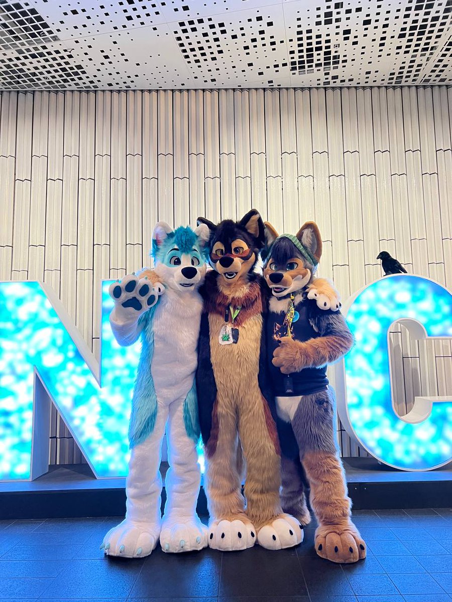 Luckyspacewolf2's tweet photo. for my first #FursuitFriday with my new fursuit have a picture of my friends and i at #NFC2024 

🪡 @CritterWorkshop 
📸@_Akita_Inu_
🐕🐺🐺:@NeithHesk , me, @Luciensheppy https://t.co/DVc140Z0Oh