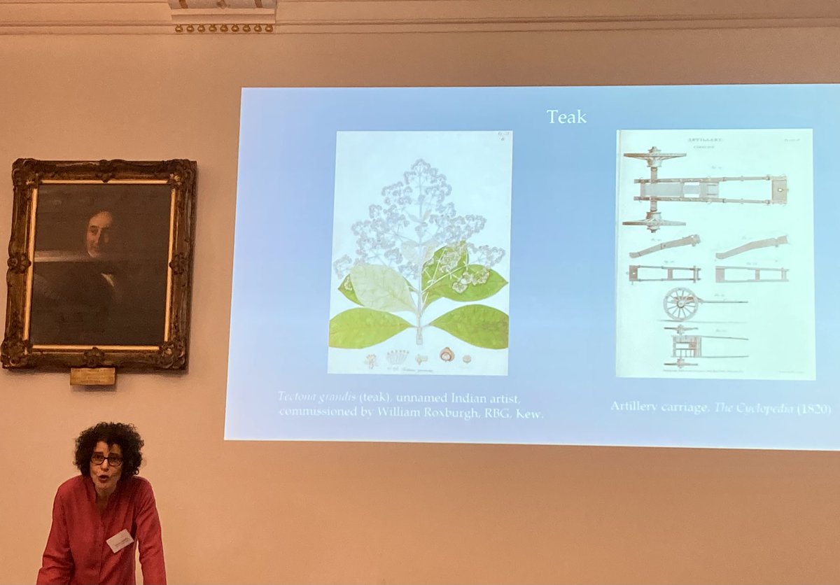 Enjoyable day at @LinneanSociety x @kewgardens Tree Cultures conference with fascinating upstairs exhibition. Met people I hoped to meet, discovered names completely new to me and caught up with music folk I didn’t expect to bump into! #planthumanities