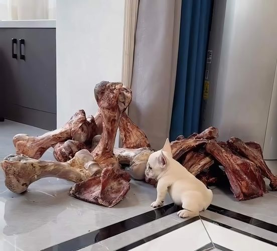 JimmyBeh 🦇🔊 tweet media