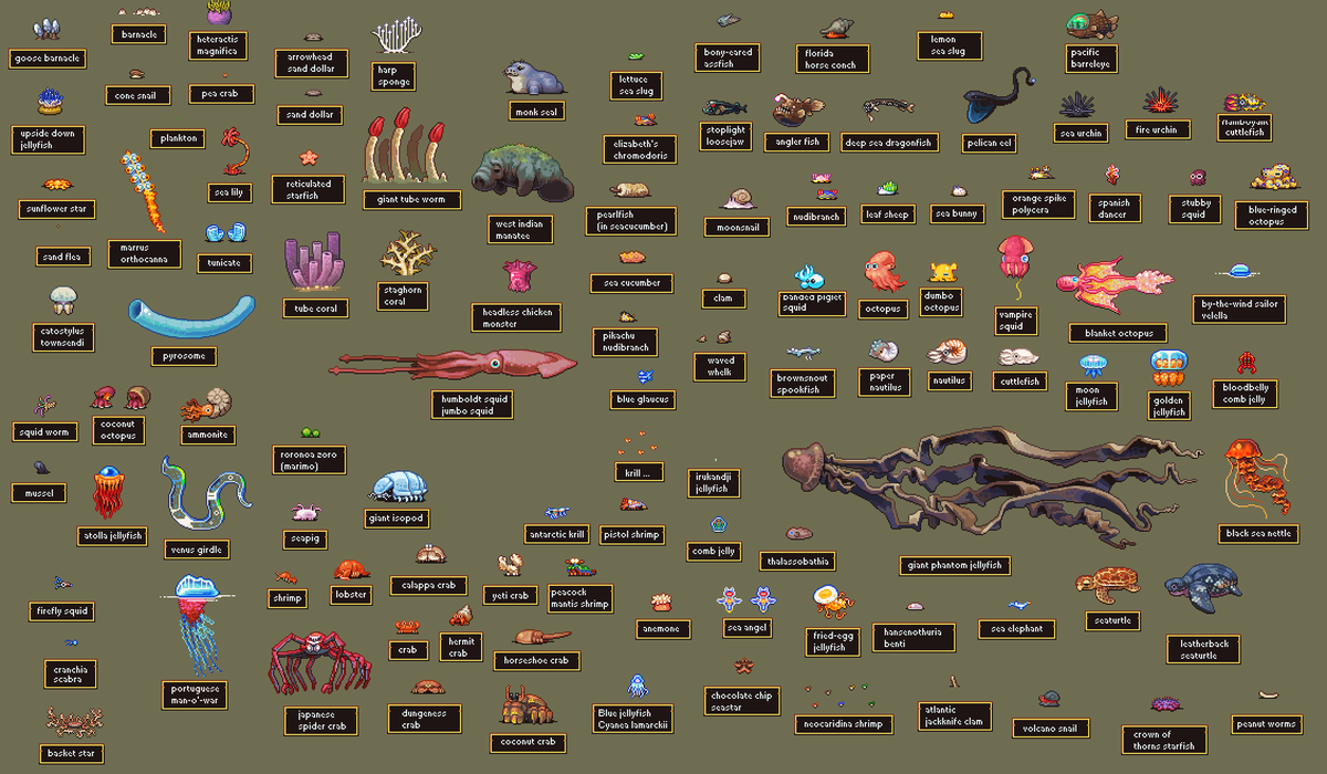 Neoriceisgood's tweet image. PIXELART #MARINEBIOLOGY This time I massively increased the number of non-fish, There's so many jellyfish, crabs etc out there! 

Am I still missing your fav? Let me know if there's anything you're still missing!
