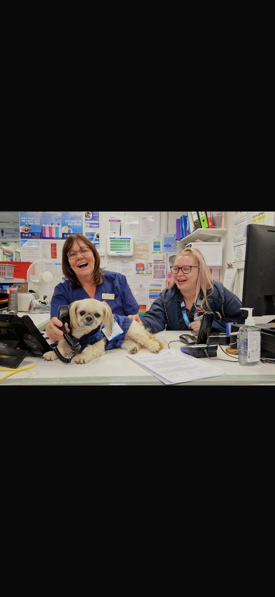 WardMale's tweet image. Our visit from Ella ..she even answered the phone for us but obviously it tired her out haha ..@Frostie_SC @kellyruth0222 @Mel_Pickup @BTHFT @PoblacionJeanne