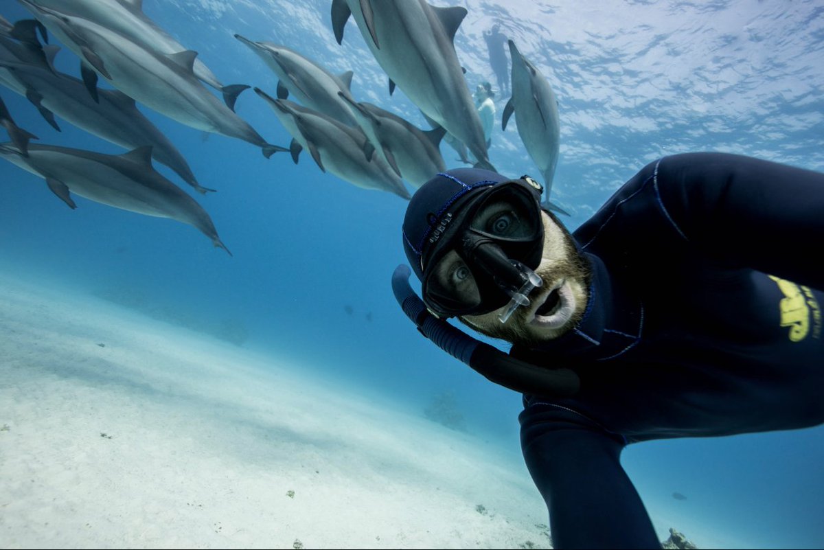 Did you know that I hold my breath to take all my images ?

Freediving gives me more freedom underwater and the possibility to get closer to marine life while feeling exactly like a fish or a dolphin😄