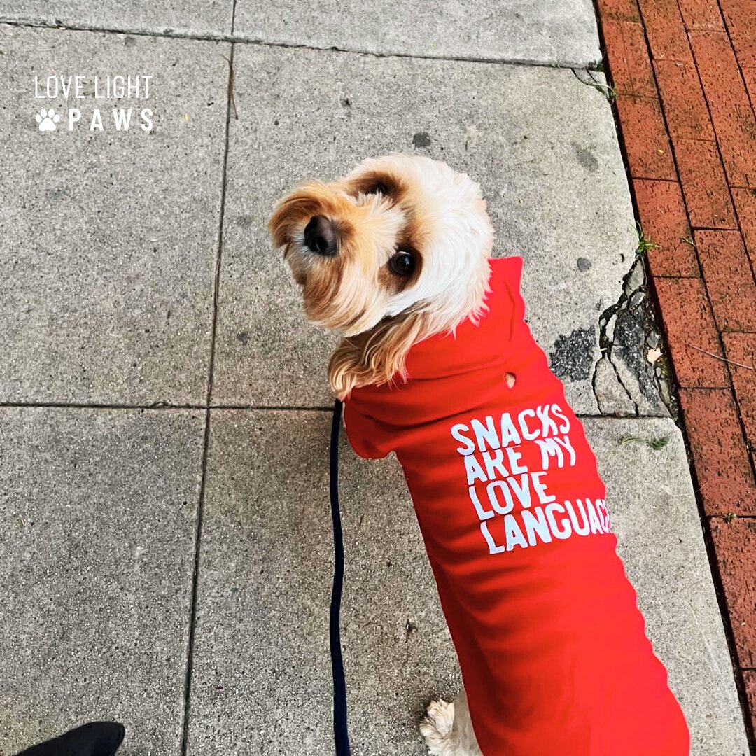 What's your love language? ❤️

#lovelanguage #dogsnacks #dogapparel #petapparel #petclothes #cutedog #dogsofinstagram