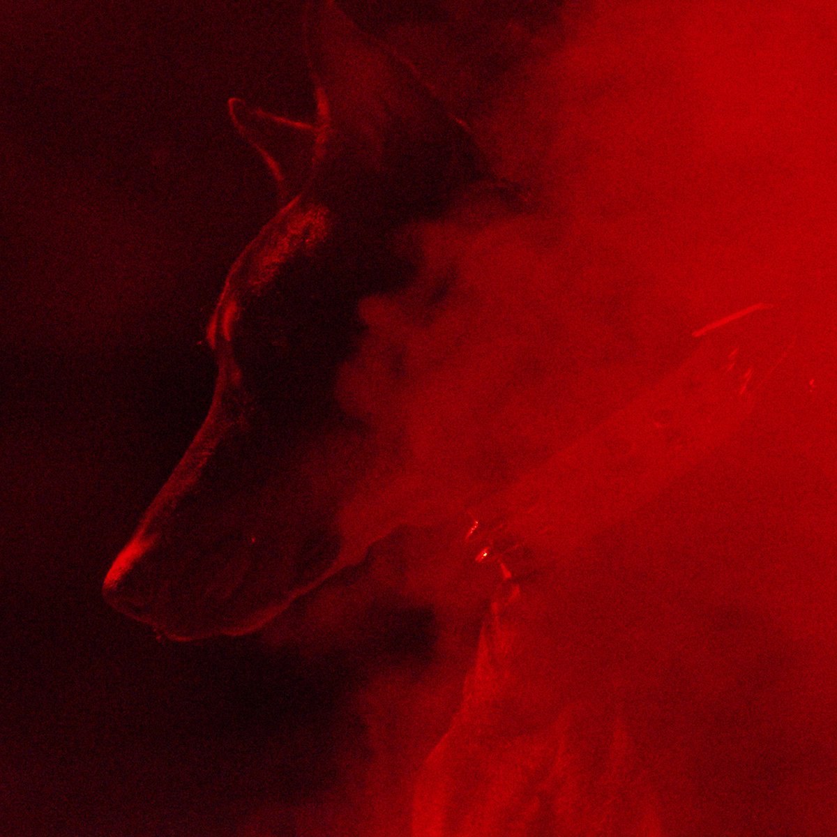 / ASTRONAUTE 
MON PREMIER SINGLE DISPONIBLE SUR TOUTES LES PLATEFORMES À MINUIT 📡