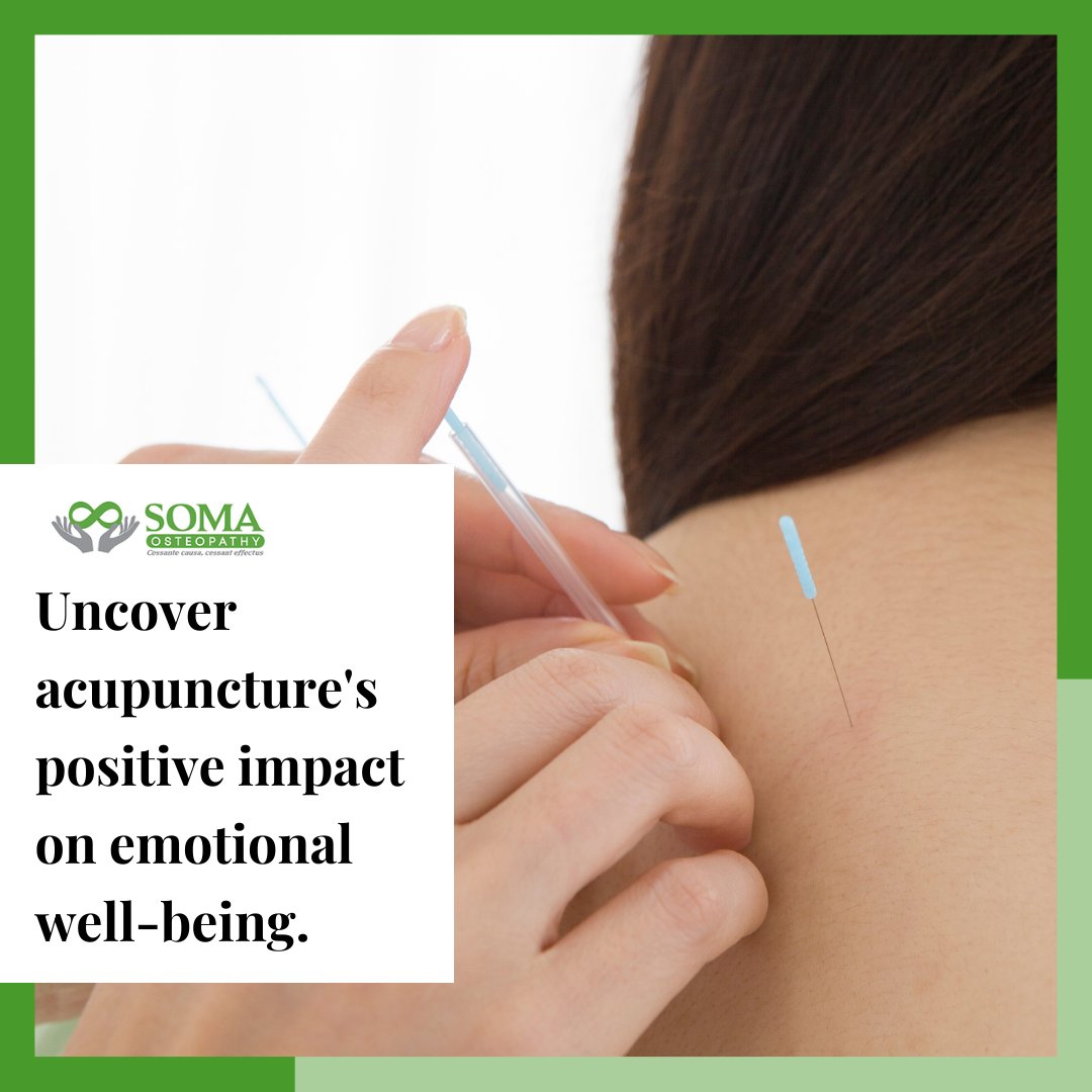 Uncover acupuncture's positive impact on emotional well-being.

Visit our website somaosteopathy.com to learn more!

#Osteopathy #HealthyGrowt #Development #HolisticApproach #PreventAndManageConditions #SupportImmuneSystem #CollaborativeCare #PediatricHealth