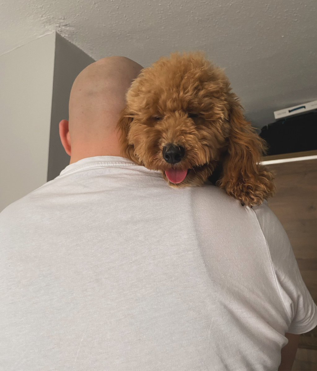 en sevdiğim ikili aynı karede💞