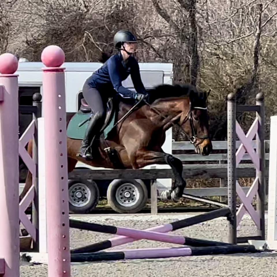 With a name like Quarantini, you know we're welcoming the first crop of 'pandemic ponies' to the #TBMakeover this year! This 2020 mare by Paynter tackled her first combined test en route to the 2024 #TBMakeover this fall w/ Rebecca Gershowitz. Learn more: therrp.org/horses/5029/