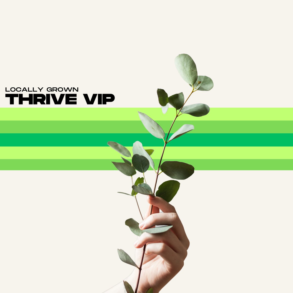 🚨 THRIVE VIP OUT NOW 🚨

☁️: soundcloud.com/locallygrowndt…

[its FREE to download and its dnb]