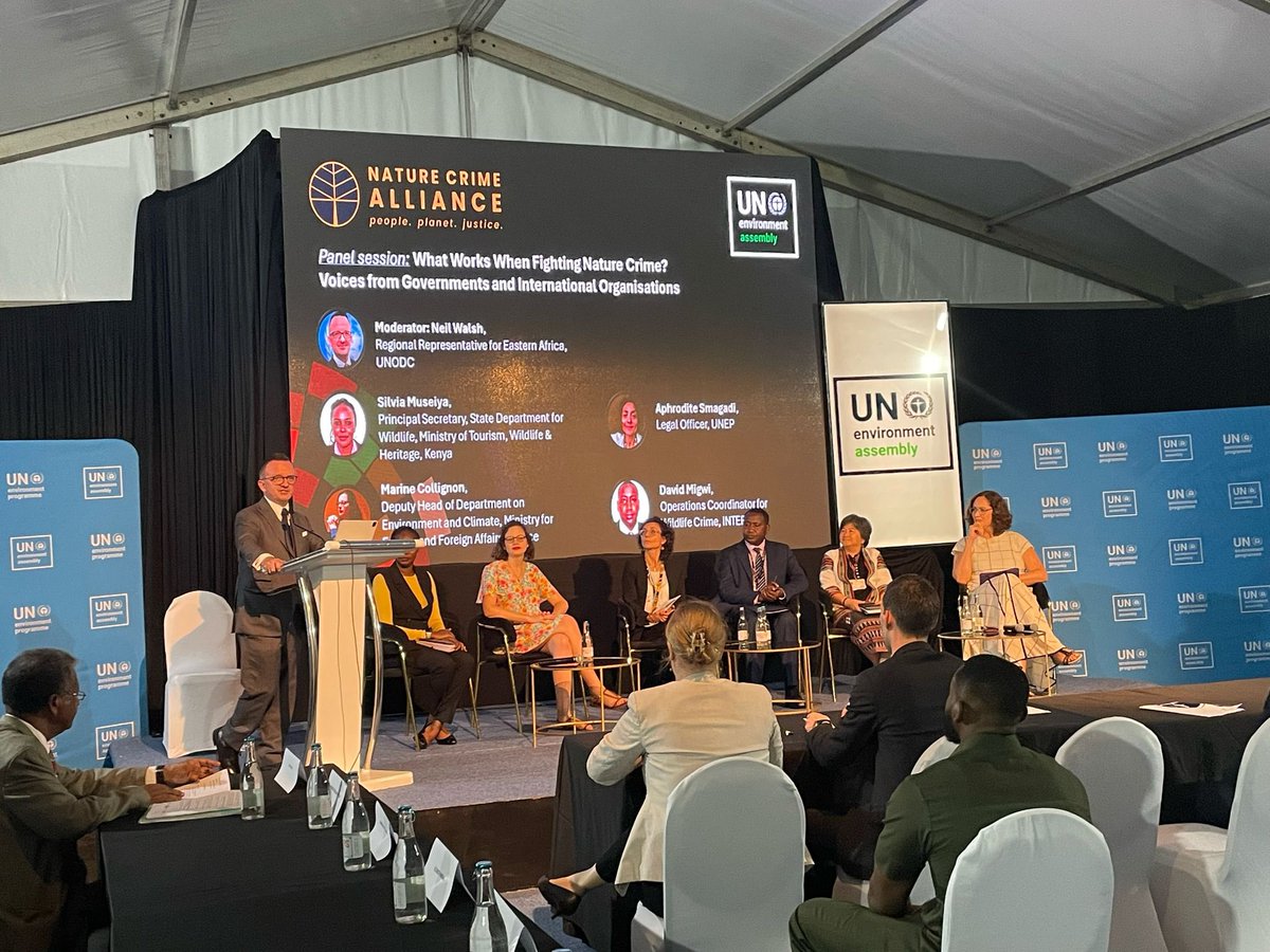 Governments and international organizations need to join forces to address #NatureCrime and tackle the triple planetary crisis. @NatureCrimeAll convened stakeholders at #UNEA6 to discuss successful approaches.