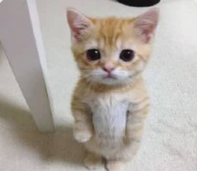 bozgabi's tweet image. &quot;Mum amesema unipatie simu yako nicheze game ndio niache kulia&quot;😂😂💔