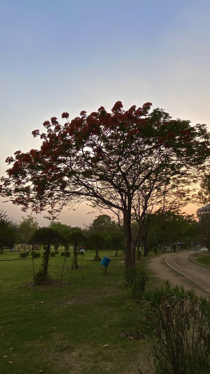 zeeaurav's tweet photo. Yes I have seen trees https://t.co/5gzMRWdPQB