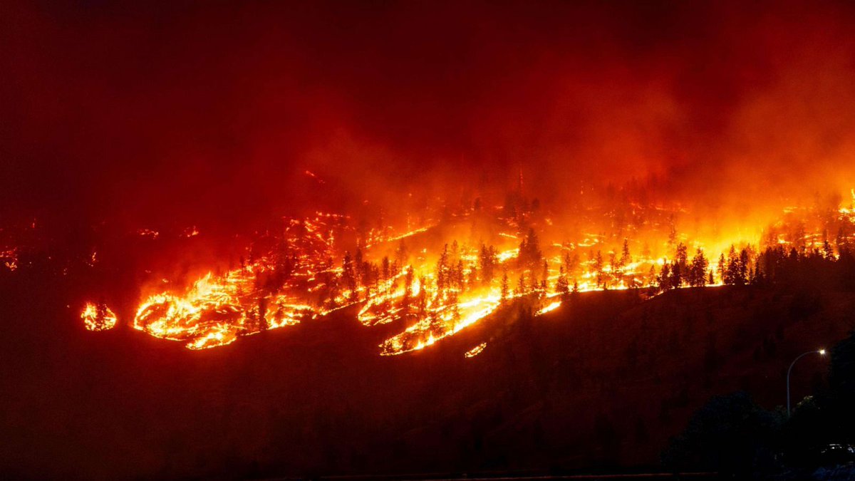 Climate change is fuelling  these infernos, leaving destruction in its wake. Its time to confront this crisis  head on before more lives are lost and landscapes  forever altered.
#ActOnCllimate #ClimateChange #ClimateEmerangency