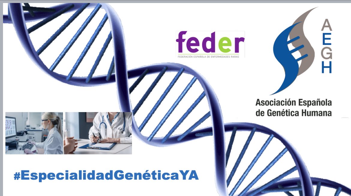 #DiaMundialdelasEnfermedadesRaras 🍀 Desde el #ServicioDePediatría #GenéticaMédica @AreaUnoArrixaca @IMIB_RMurcia @UMU @CIBERER comprometidos con pacientes y familias #asistencia #docencia #investigación #prevención #EspecialidadGeneticaYA 🧬@AEGHgenetica @FEDER_ONG