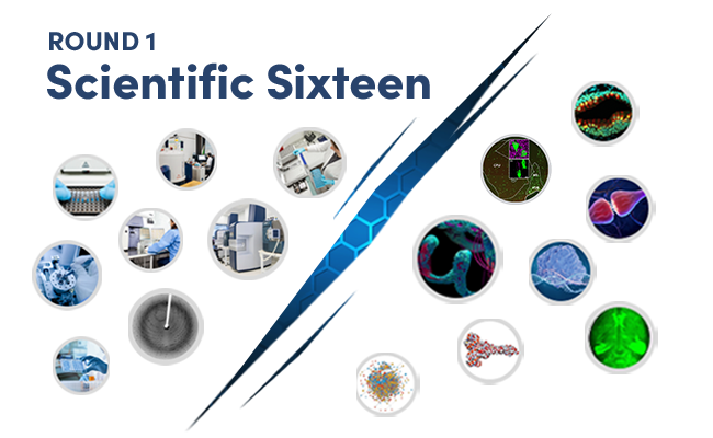 jbiolchem's tweet photo. #JBCMethodsMadness update: Voting for the Scientific Sixteen round is now open. Vote for your favorite method ASAP! Round one voting ends tomorrow, March 1.
https://t.co/mfVaISfynV https://t.co/EGxYjACEFS
