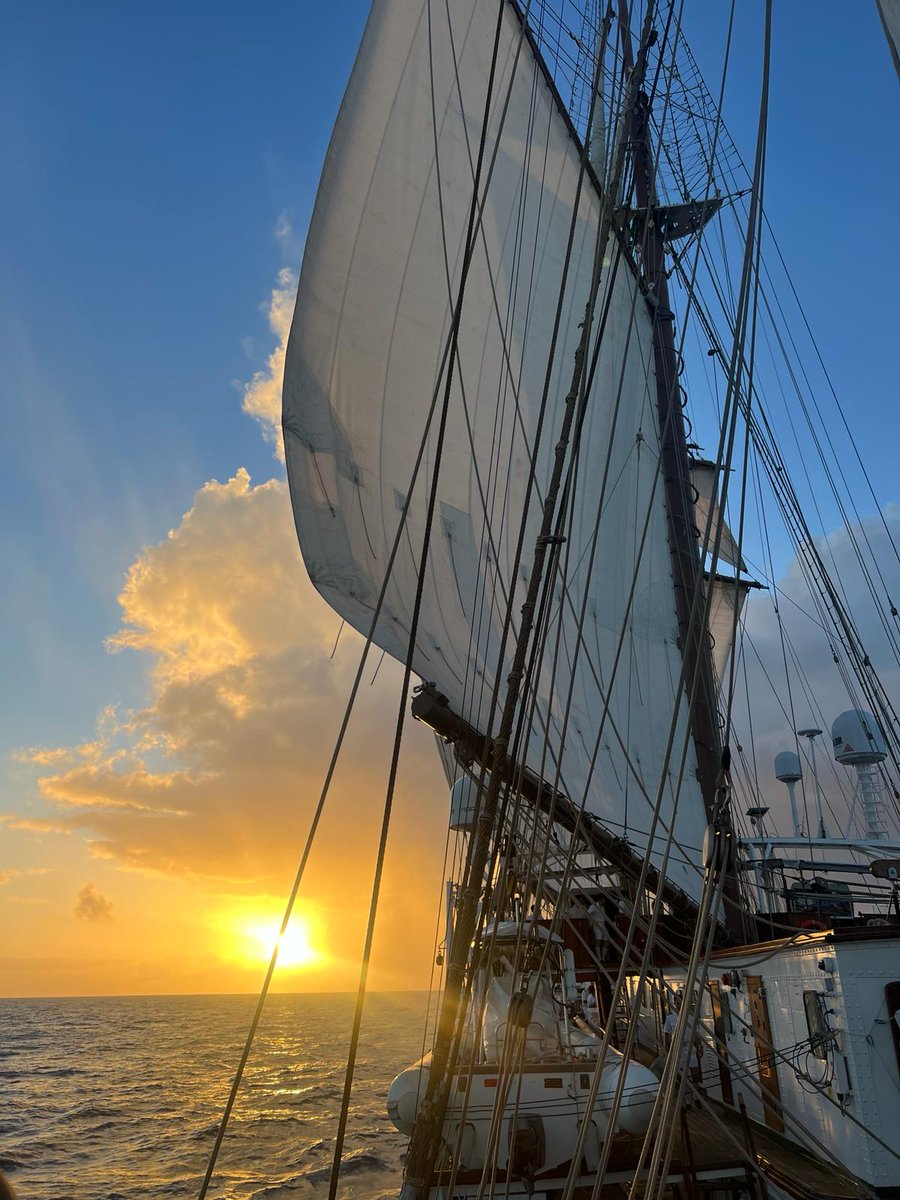 Desde el Buque Escuela #JuanSebastiánDeElcano, navegando por el mar Caribe 🌊 en demanda de su próxima escala en #SantoDomingo 🇩🇴, os deseamos #BuenasNoches.

#SomosLaArmada🇪🇦⚓️
#DefendemosEspañaEnYDesdeLaMar