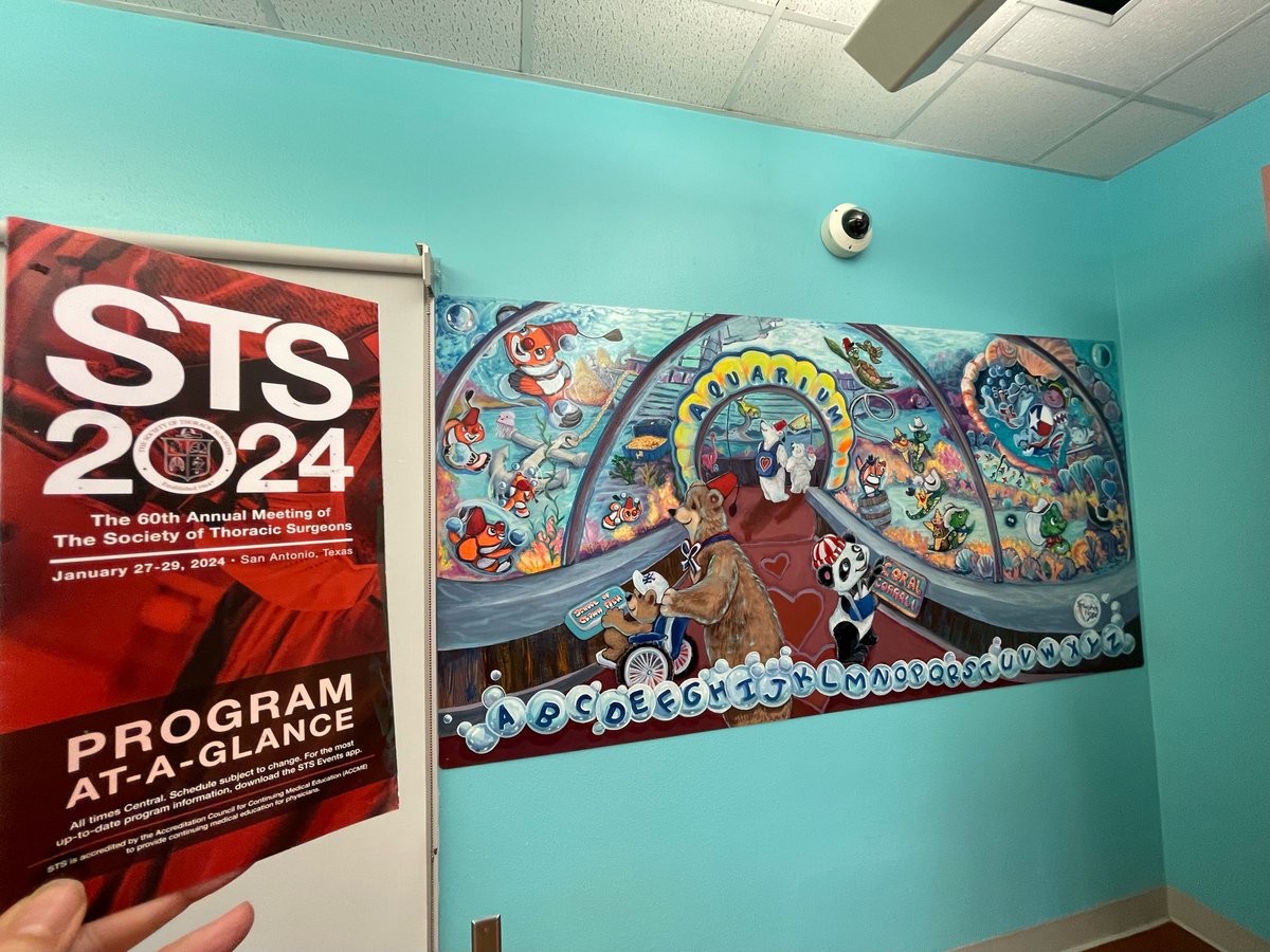 This colorful 'I-spy' mural painted by #STS2024 attendees has been donated to @ShrinersTexas in Galveston. We hope it brings color, brightness, and comfort to the young patients, their families, and the staff! Thanks to all who helped 'paint with a purpose!' @SplashesofHope