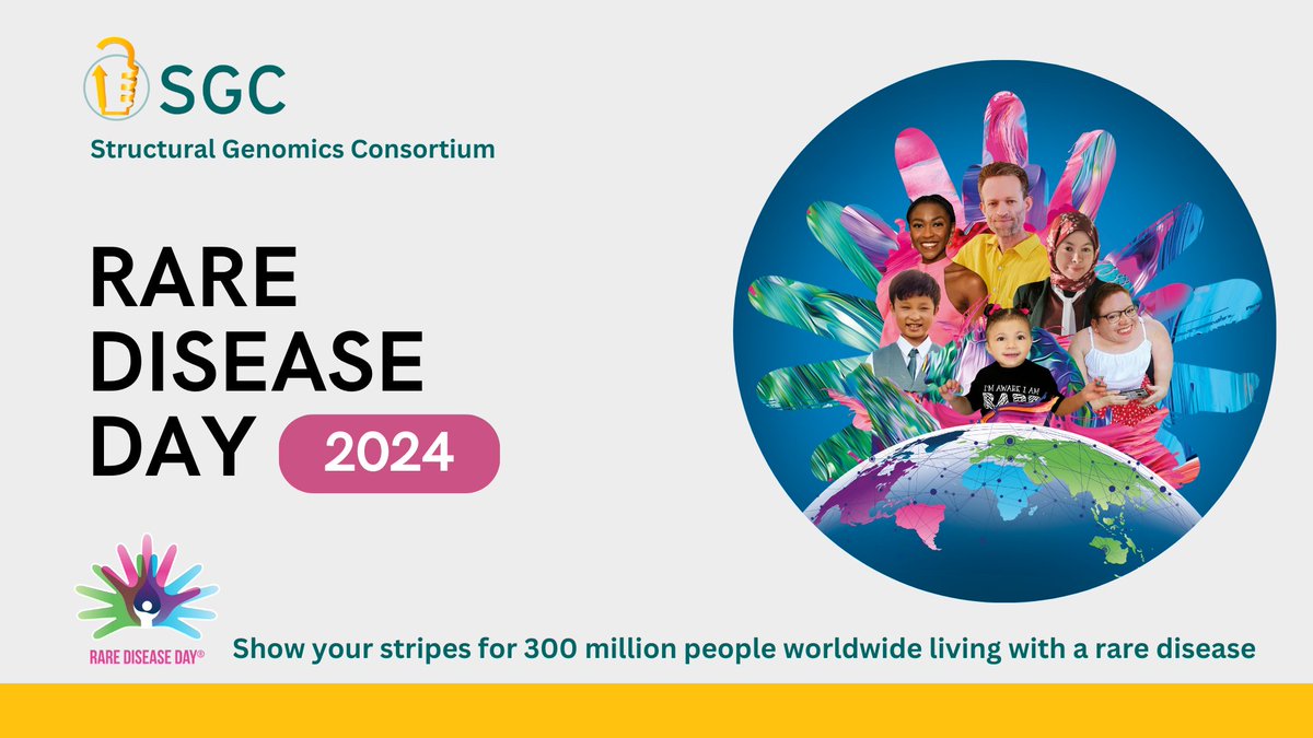 🌎💜 Today is #RareDiseaseDay - a day for coming together to raise awareness of all rare conditions. At SGC our mission extends beyond the lab. We are committed to empowering scientists worldwide with tools and knowledge to explore challenging and rare diseases.