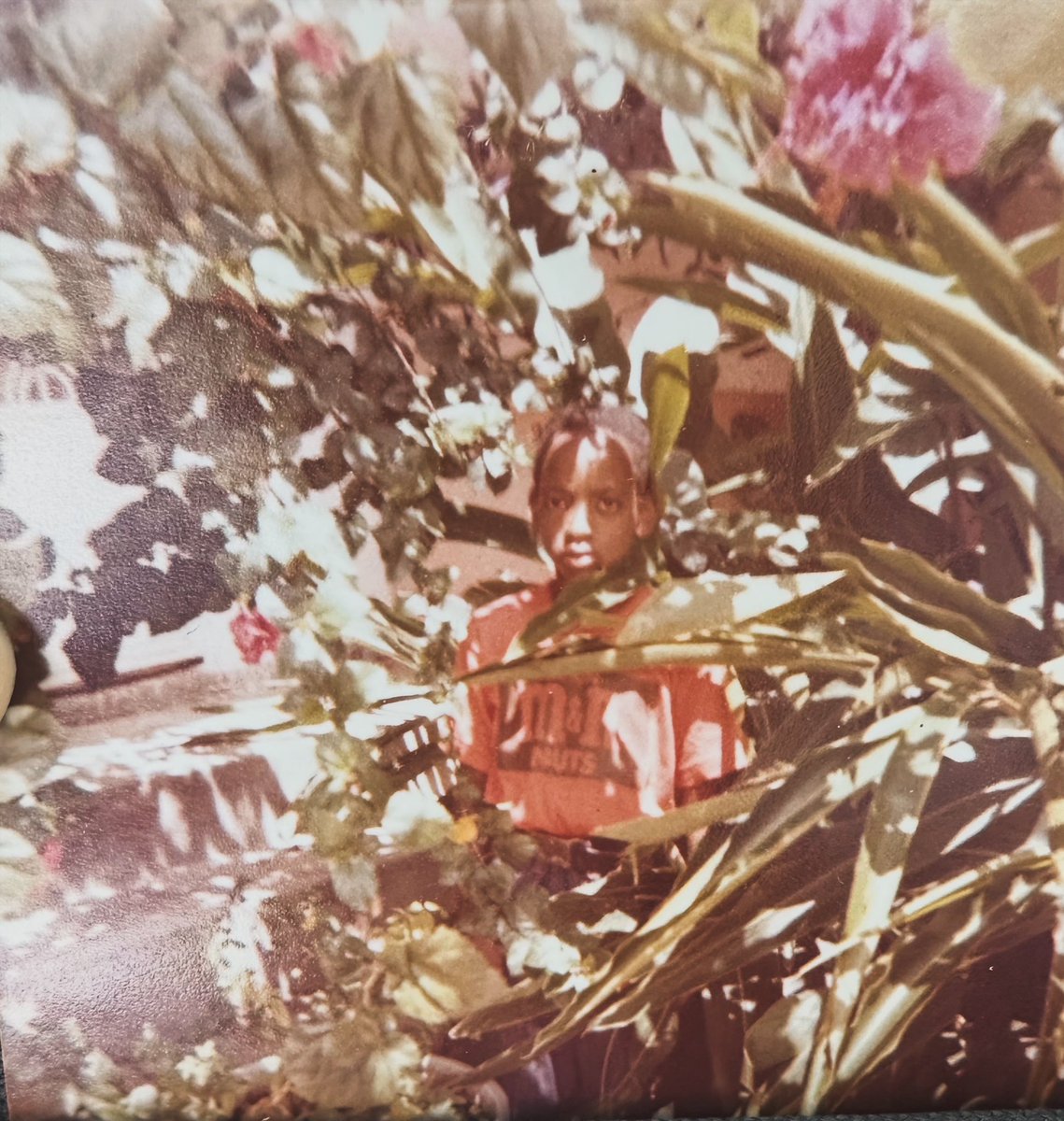 #tbt Haiti vacation 1973 … why mom why? 🤦🏾‍♂️