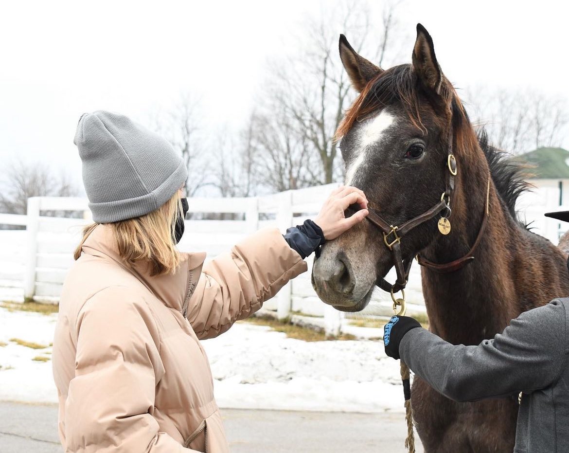 LNJFoxwoods's tweet image. Wonderful article written by @ChrisLomon about our homebred Silver Peak &amp;amp; his new best friend. It’s refreshing to read positive stories about the horse racing world &amp;amp; aftercare @LongRunTB It sounds like they are a perfect match! #dreamit @jcarrollracing

woodbine.com/woodbine-news/…
