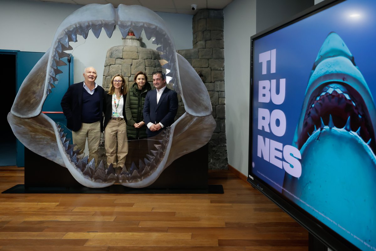 CarmenMoriyon's tweet photo. 🦈 “Tiburones” es la nueva exposición del @AcuariodeGijon. Esta exposición, del Museo Americano de Historia Natural de Nueva York, se estrena por primera vez en Europa con una visión exhaustiva de estos animales.

A través de diferentes secciones temáticas, podemos descubrir la historia de uno de los depredadores más antiguos y fascinantes del mundo marino.