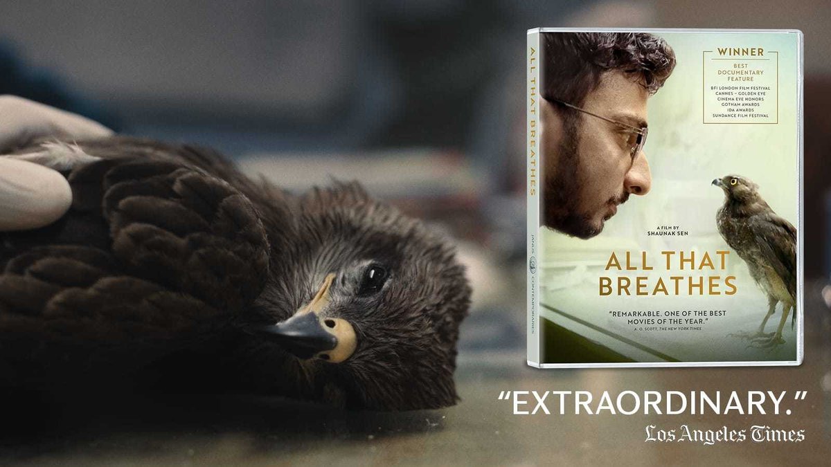 “Maybe the most beautifully realized documentary in recent memory.”
—<a href="/raabele/">Robert Abele</a>, <a href="/latimes/">Los Angeles Times</a> 

“A subtle, haunting reflection on the meaning of humanity.”
—A. O. Scott, <a href="/nytimes/">The New York Times</a> 

“The most potent emotional experience I had in a movie theater all year.”
—Dana Stevens, <a href="/Slate/">Slate</a> 

“The