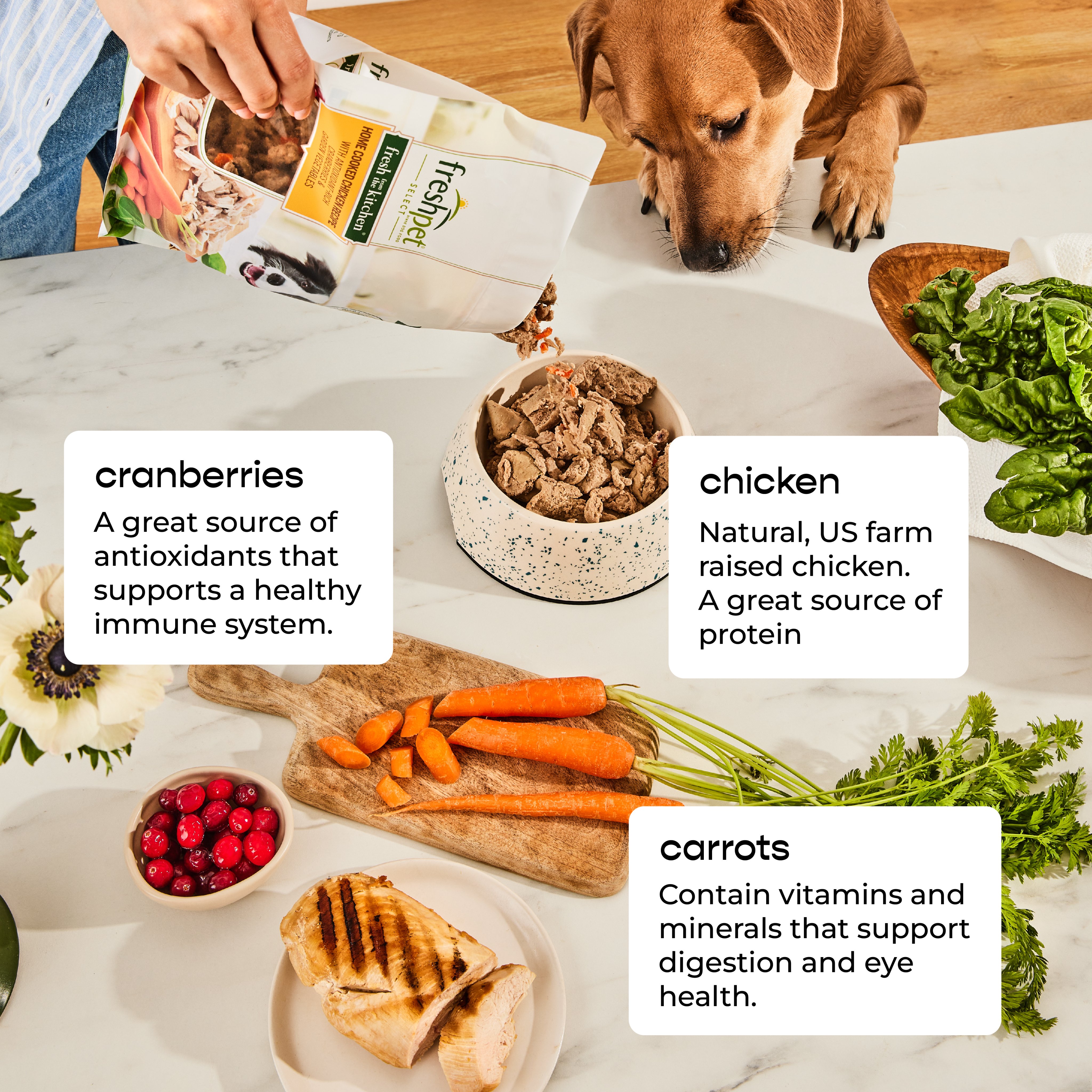 Best dog food for eye health sales
