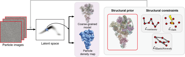 One World Cryo-EM Online Seminars tweet media
