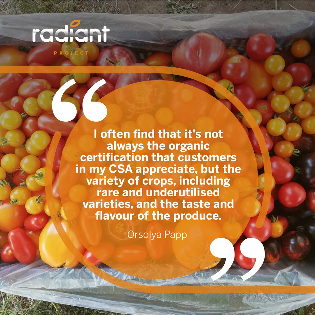 Meet our Participatory Farmers! Today, the #RadiantProject invites you to meet Orsolya Papp and delve into a firsthand account of her experience. #RADIANT #ParticipatoryFarmers #Farming #Agriculture
