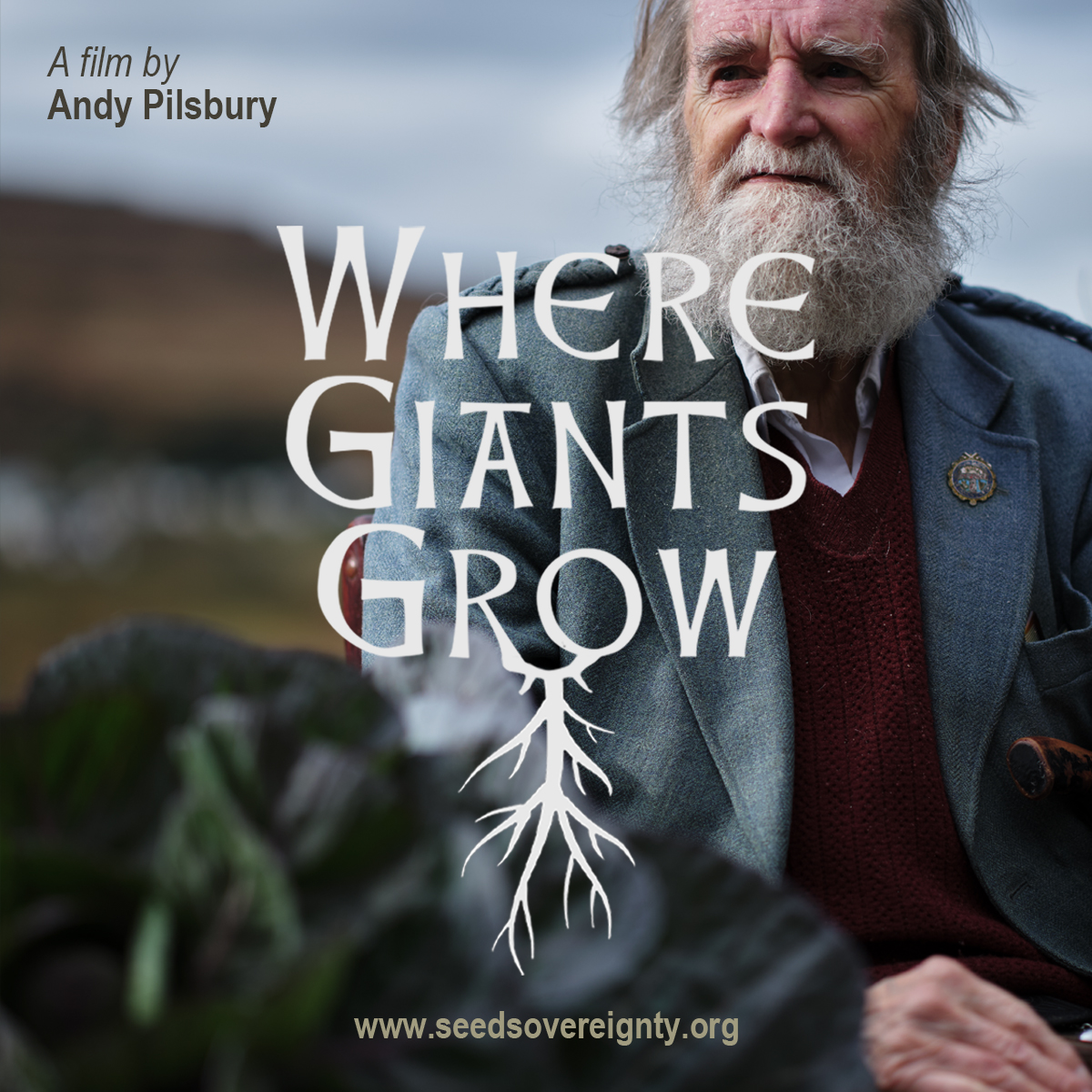 SeedSovereigntyUkIreland (@seedsov) on Twitter photo 'Where Giants Grow' is our latest film, made by @andypilsbury for <a href="/GaiaFoundation/">The Gaia Foundation</a>.
It follows the journey of a legendary cabbage across our isles, exploring how seeds accompany people, gathering tales and traditions, intertwining with our histories.
seedsovereignty.info/where-giants-g… 'Where Giants Grow' is our latest film, made by @andypilsbury for <a href="/GaiaFoundation/">The Gaia Foundation</a>.
It follows the journey of a legendary cabbage across our isles, exploring how seeds accompany people, gathering tales and traditions, intertwining with our histories.
seedsovereignty.info/where-giants-g…