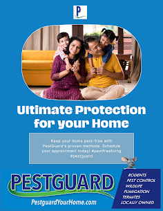 Pestguard Brings Vibrant Florida Living.

Embrace vibrant Florida living with Pestguard – where a pest-free home is the key to enjoying the Sunshine State to the fullest!

CHECK US OUT!
pestguardtermite.com

#FloridaLiving #PestFreeHome #SunshineStateLiving