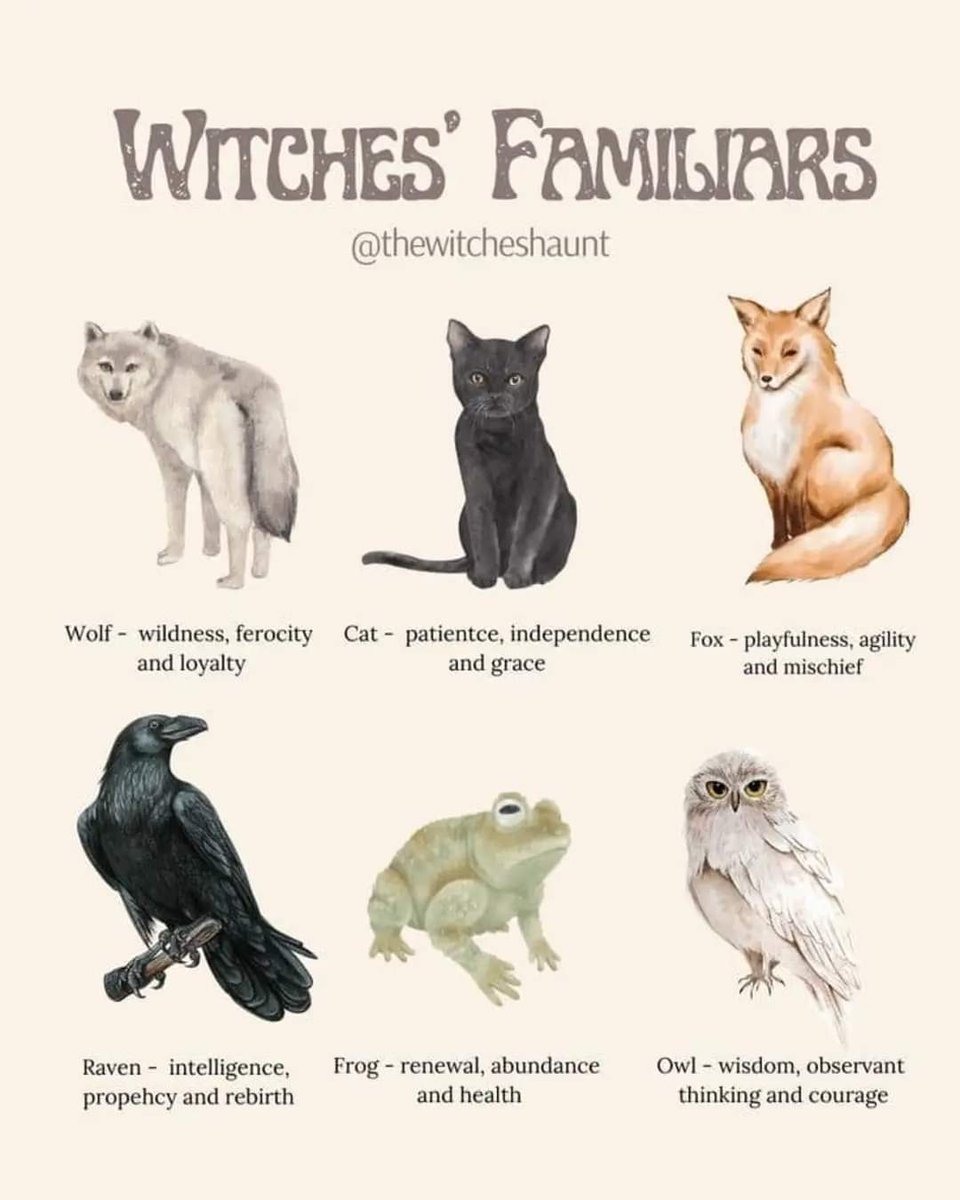 Which familiar are you picking?