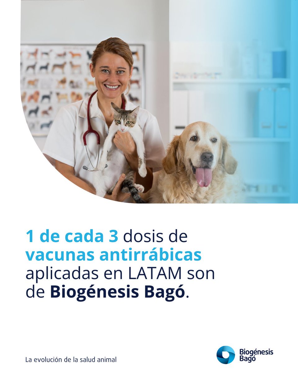 Comprometidos con la prevención y control de la rabia 🛡️🐾 

En Biogénesis Bagó, producimos 35M+ dosis anuales de vacunas antirrábicas seguras y eficaces para perros y gatos, que llegan a más de 14 países. 💉🌎 

#SaludAnimal #Zoonosis