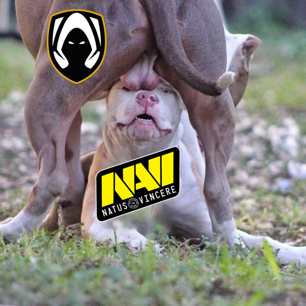 SI, SI, SI, NOS VAMOS A MADRID!!! 🥵🔥