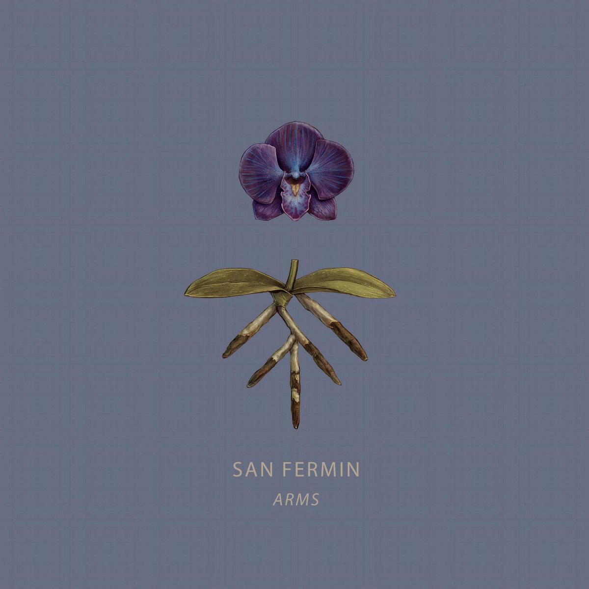 Listening to #arms on repeat, check it out orcd.co/san-fermin-arms 

#sanfermin #orchardambassador #LeapDay #thursdayvibes