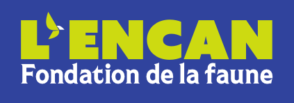 Fondation faune tweet media