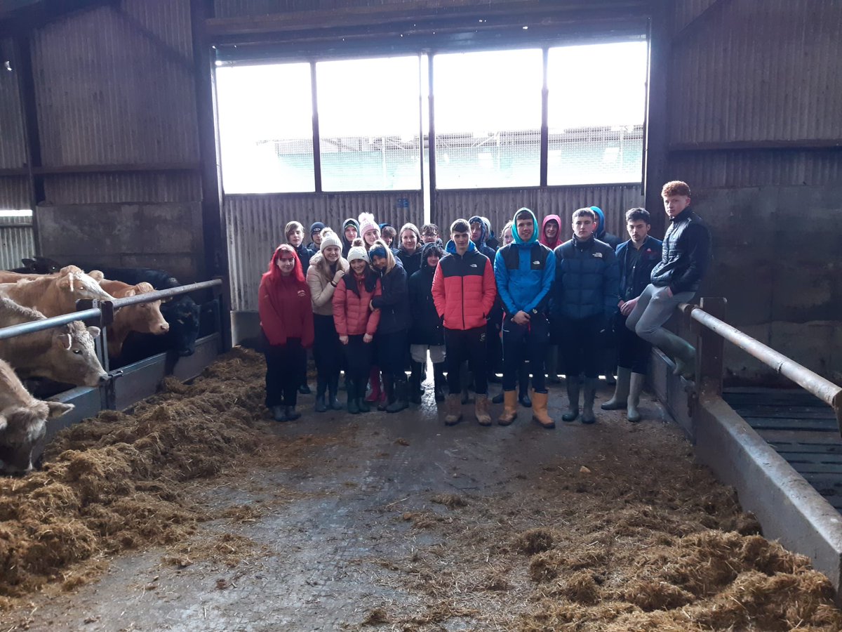 ScoilRuain's tweet photo. Our Agriculture Science students had a great time on their farm walk in Gurteen college 🥰🐄 🐑 🚜 @TipperaryETB https://t.co/QJuZtl04d5