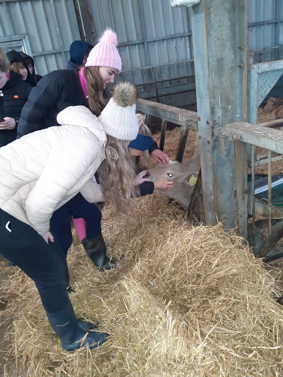 ScoilRuain's tweet photo. Our Agriculture Science students had a great time on their farm walk in Gurteen college 🥰🐄 🐑 🚜 @TipperaryETB https://t.co/QJuZtl04d5