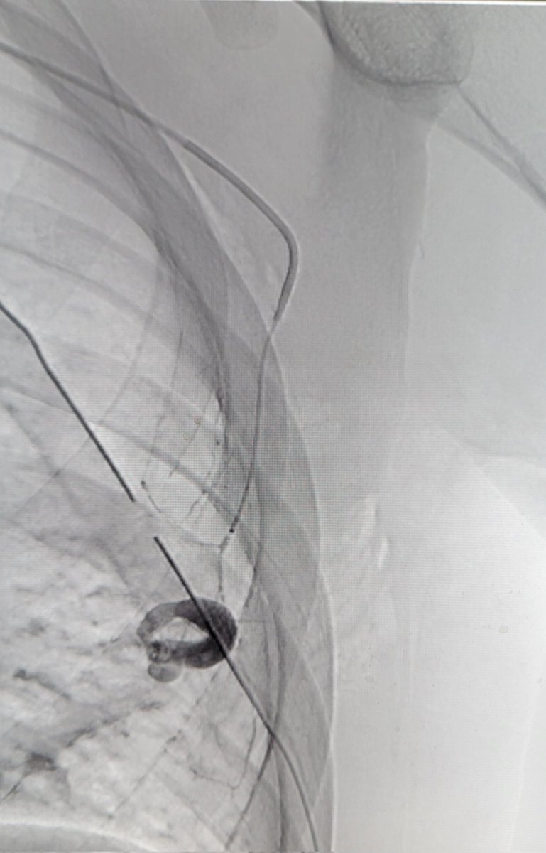 Temple Radiology tweet media