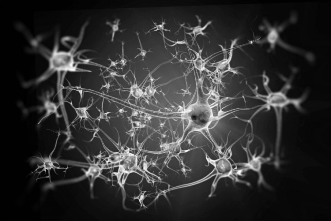 Netcon2025 tweet media