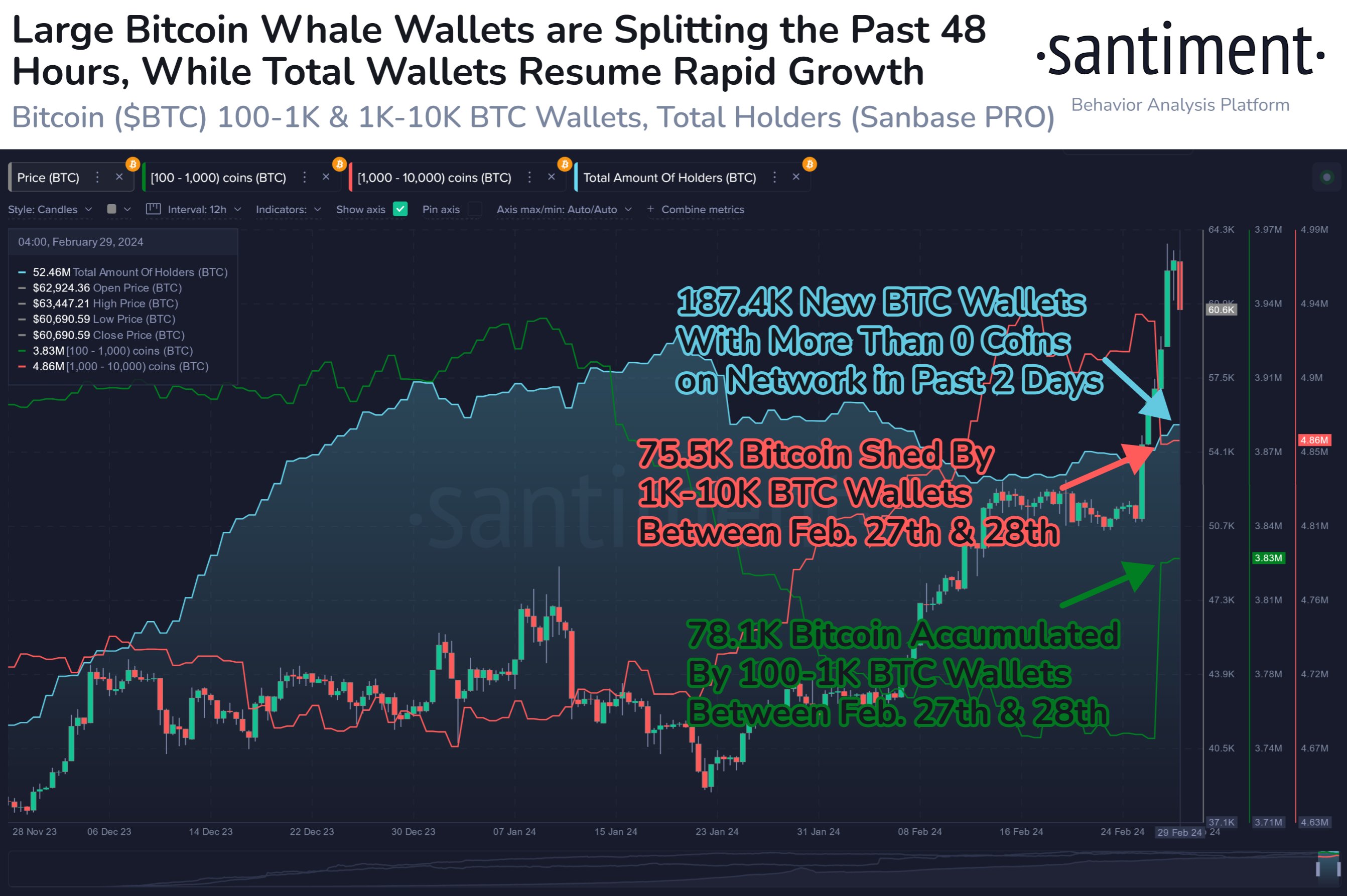 Bitcoin Sharks And Whales