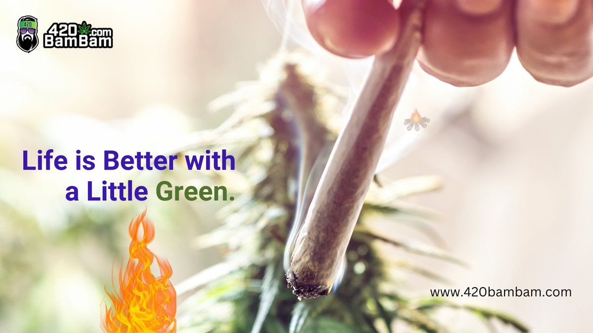 420BamBam_Ofcl's tweet image. Green makes everything better. 💨🌿

#420BamBam #LifeInFullColor #HealingLife #HealingPower #NaturalMedicine