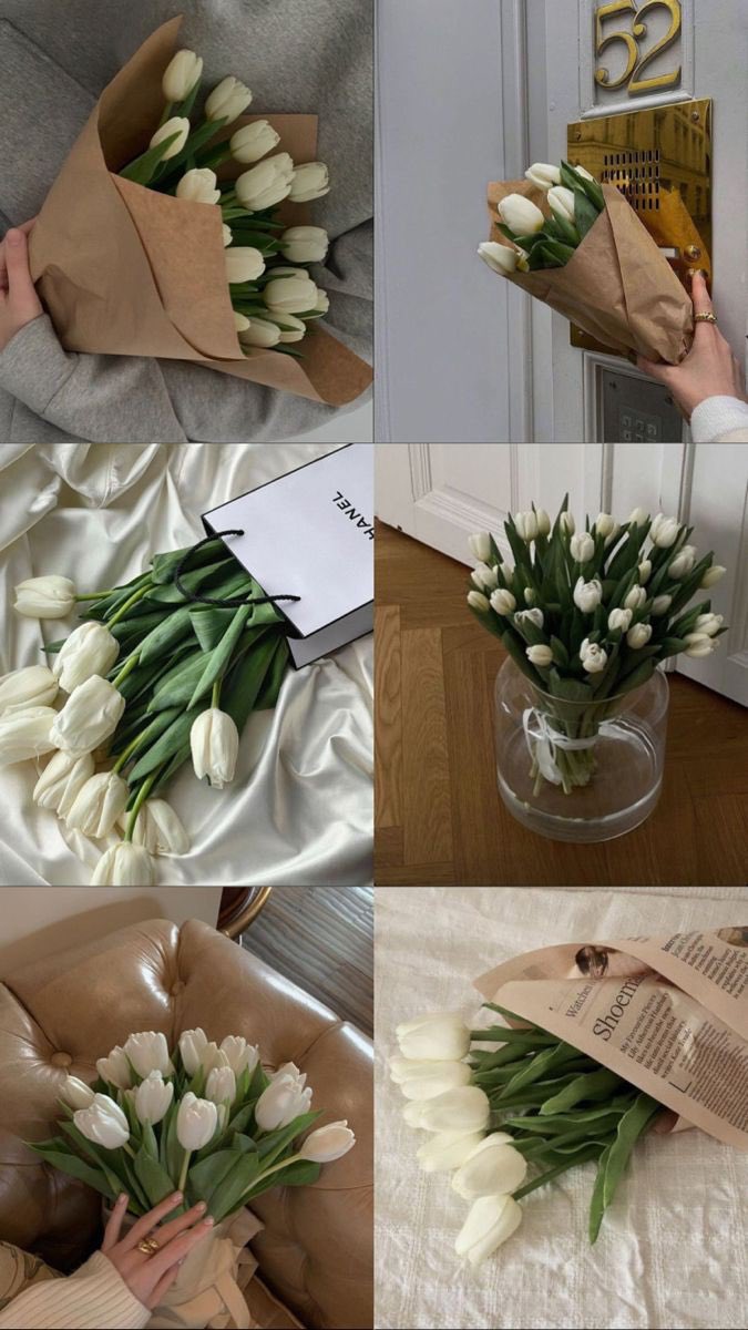 Beyaz lalelerin zarifliği