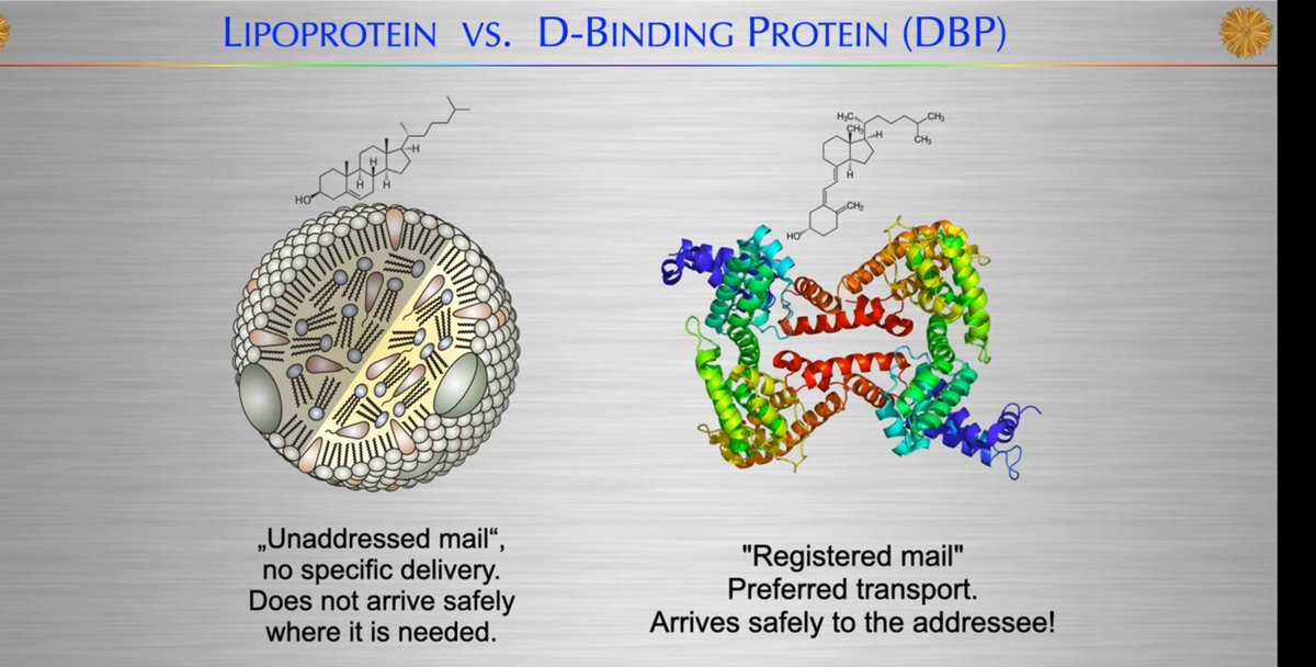 zaidkdahhaj's tweet image. Should you sunbathe during midday to get your Vitamin D or supplement?
I believe sunbathing remains the superior alternative, and it’s interesting to view it from the perspective of Vitamin D distribution in the body
Supplementation is distributed by non-specific transport…