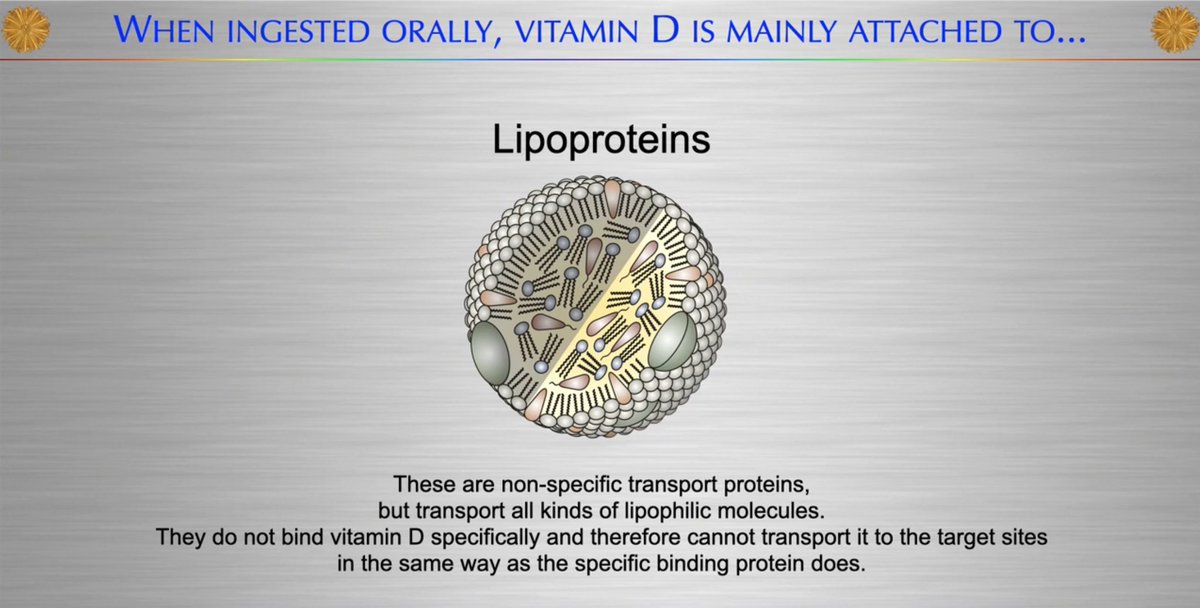 zaidkdahhaj's tweet image. Should you sunbathe during midday to get your Vitamin D or supplement?
I believe sunbathing remains the superior alternative, and it’s interesting to view it from the perspective of Vitamin D distribution in the body
Supplementation is distributed by non-specific transport…