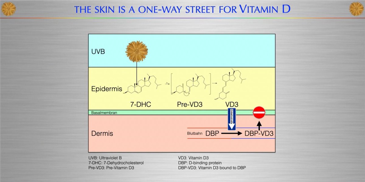 zaidkdahhaj's tweet image. Should you sunbathe during midday to get your Vitamin D or supplement?
I believe sunbathing remains the superior alternative, and it’s interesting to view it from the perspective of Vitamin D distribution in the body
Supplementation is distributed by non-specific transport…