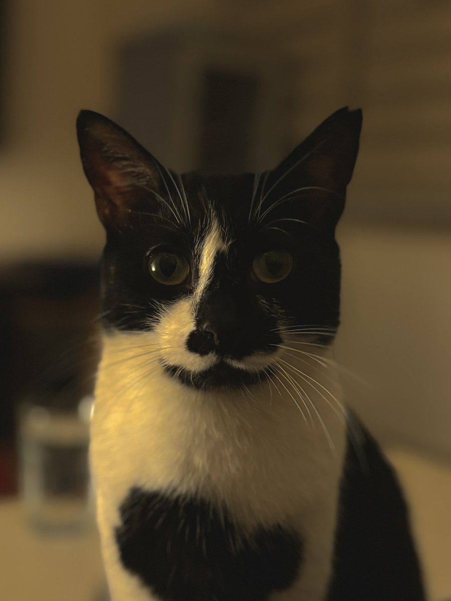 Vesikalıklar çekildi mi