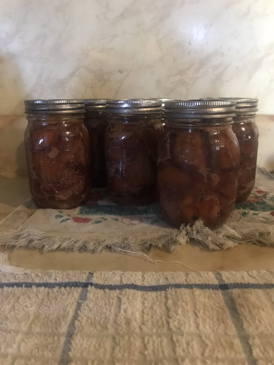 Seven pints of venison fresh out of the canner